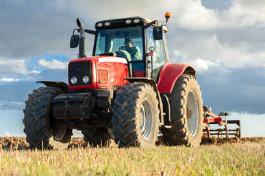 Agriculture and Forestry